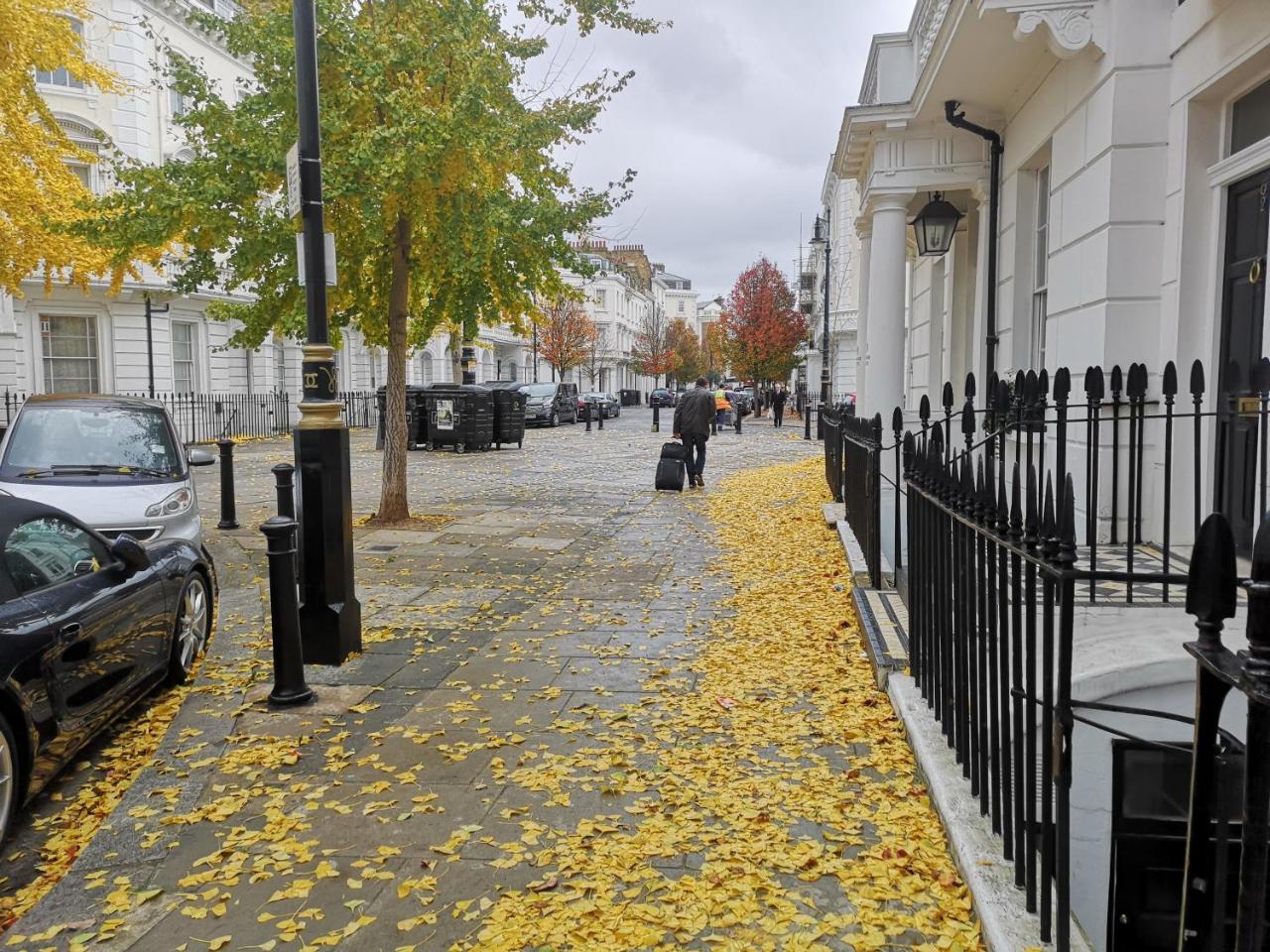Victoria Style Flat Near Victoria Station Lejlighed London Eksteriør billede